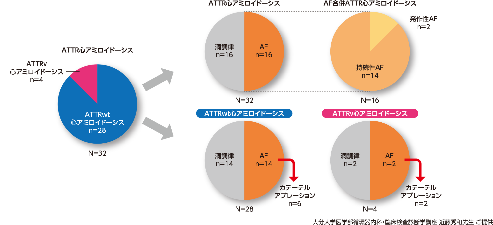 図4 大分大学医学部循環器内科・臨床検査診断学講座データ：ATTR心アミロイドーシスにおけるAF合併率とその特徴